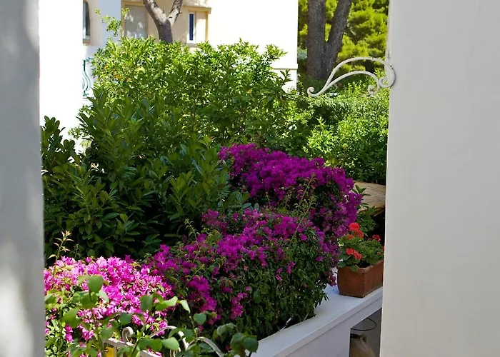 Отель San Felice 4*