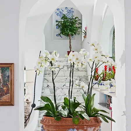 Hotel San Felice Capri